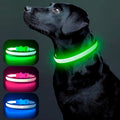 Collar de Luz LED para tu mascota