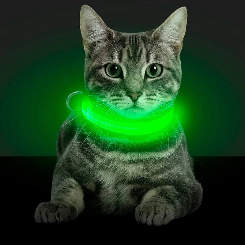 Collar de Luz LED para tu mascota