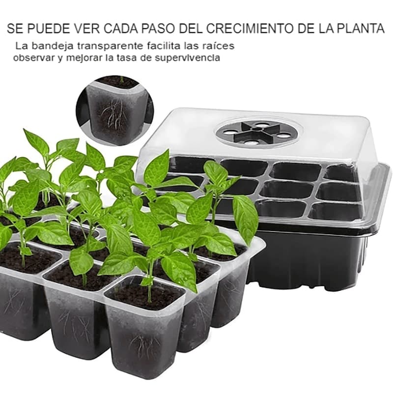 Kit bandeja de vivero para invernadero + 12 Turba de Siembra