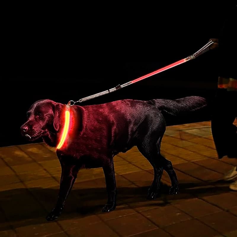 Collar de Luz LED para tu mascota