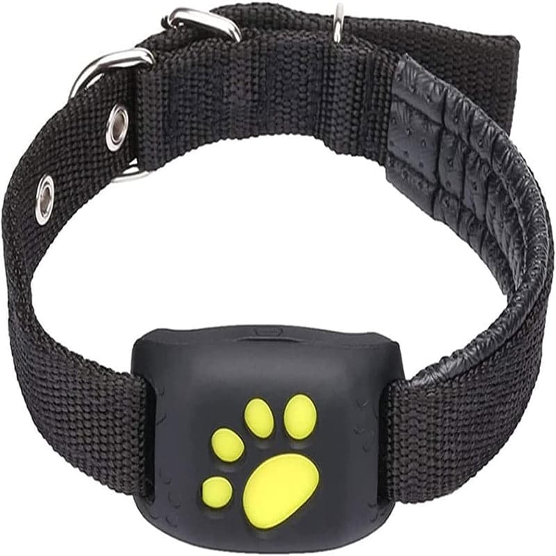 Collar Rastreador GPS para Mascotas