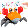 FunCrab © Juguete Cangrejo Caminador Para Niños y Animales