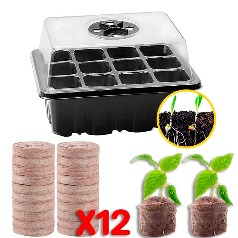 Kit bandeja de vivero para invernadero + 12 Turba de Siembra