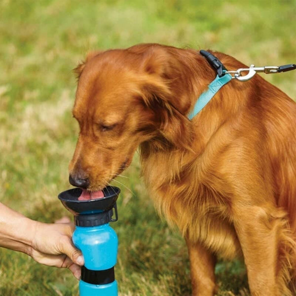 Botella De Agua Portable Para Mascotas Y Bebedero