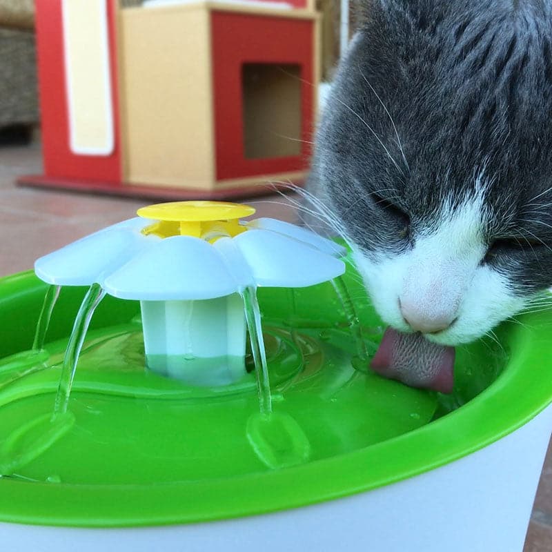 Fuente De Agua En Forma De Flor Bebedero Eléctrico Para Gatos