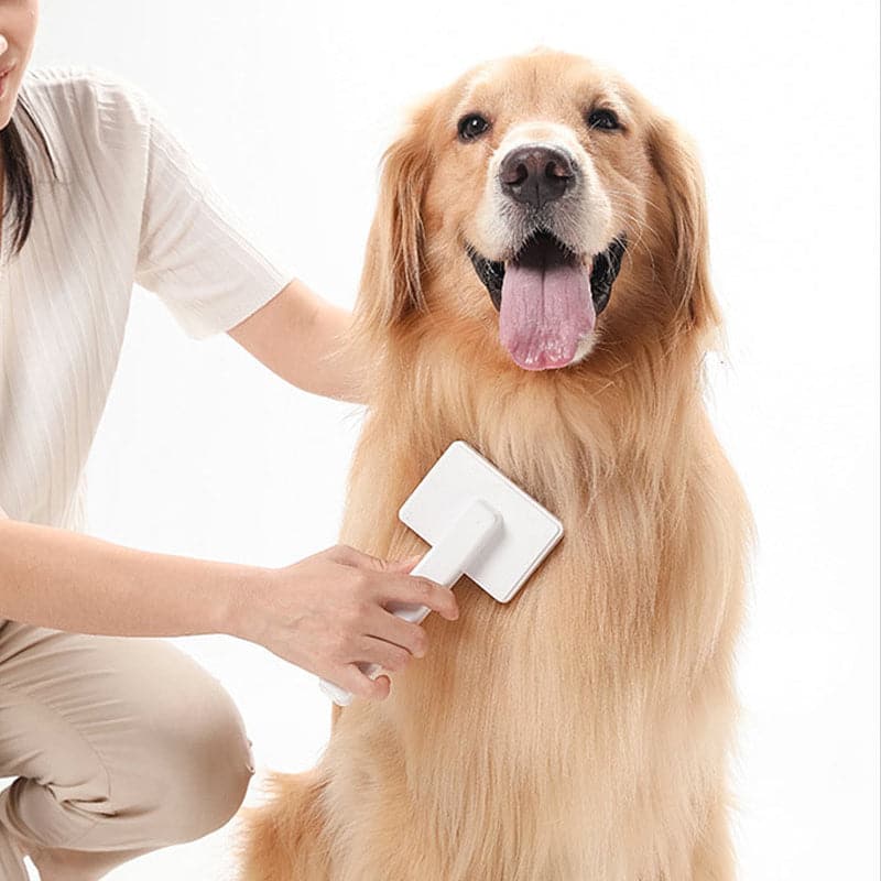 Cepillo Para Eliminar Pelos Sueltos De Mascotas