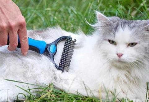 CEPILLO DE PELO PARA MASCOTAS